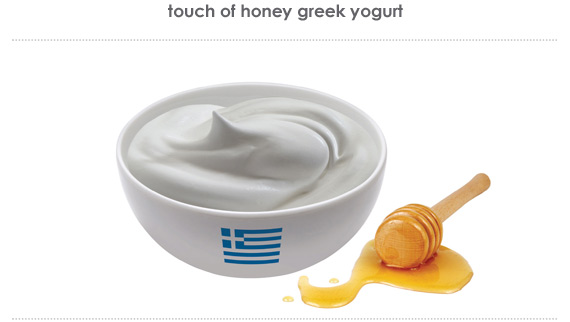 touch of honey greek yogurt 