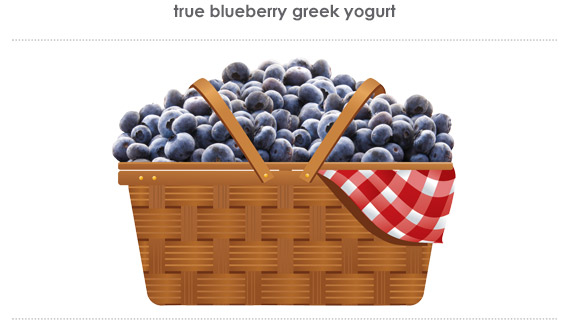 true blueberry greek yogurt