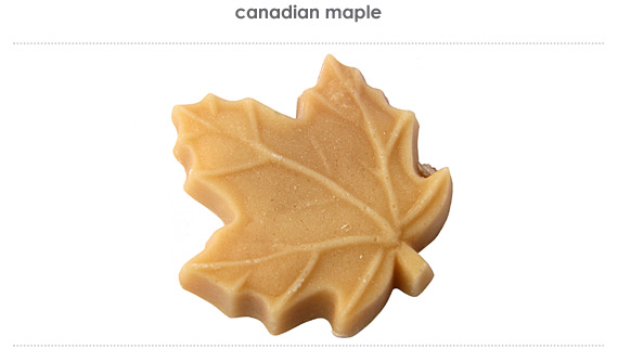 canadian maple