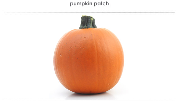 pumpkin patch