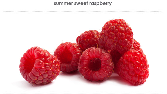 summer sweet raspberry