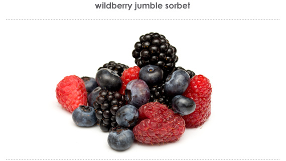 wildberry jumble sorbet