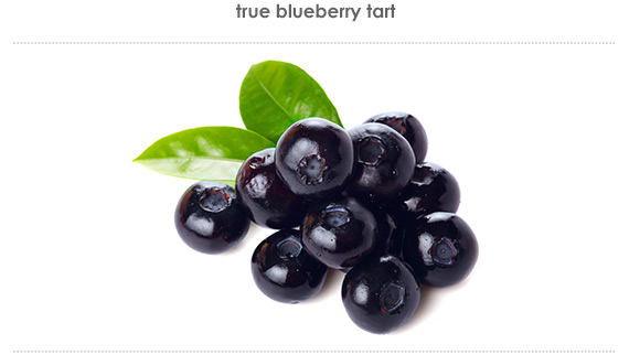 true blueberry tart
