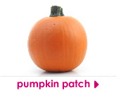 pumpkin patch