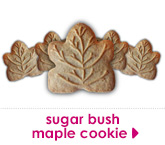 sugar bush maple cookie