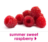 summer sweet raspberry