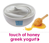 touch of honey greek yogurt 