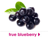 true blueberry