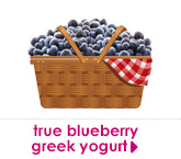 true blueberry greek yogurt