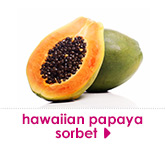 hawaiian papaya sorbet
