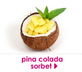 pina colada sorbet