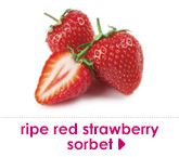 ripe red strawberry sorbet