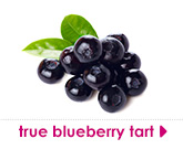 true blueberry tart