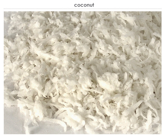 coconut 