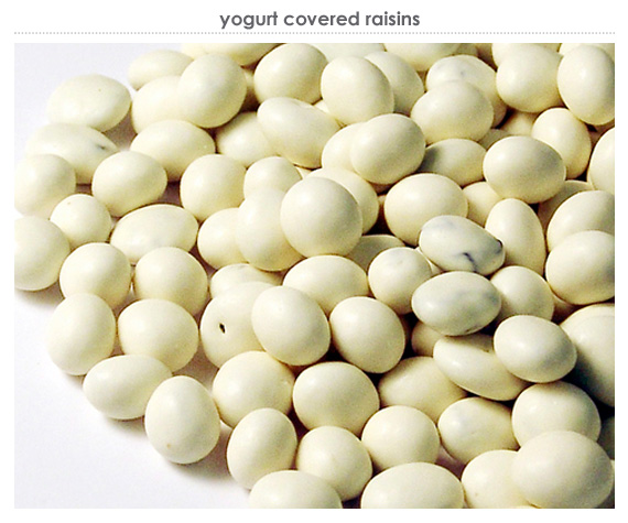 yogurt covered raisins 