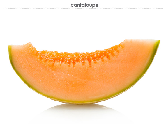 cantaloupe 