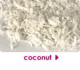 coconut 