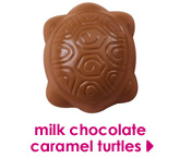 milk chocolate caramel turtles 