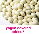 yogurt covered raisins 