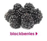 blackberries 