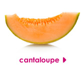 cantaloupe 